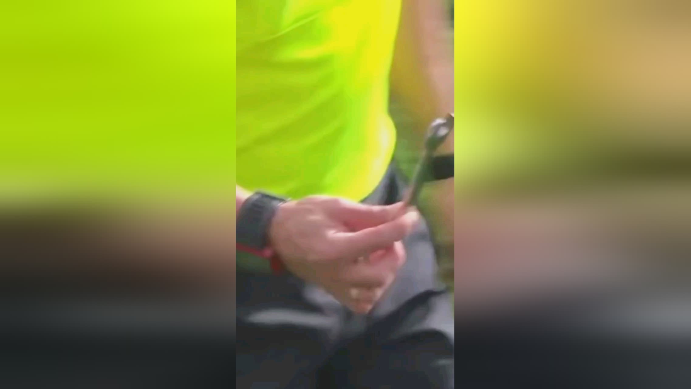 响主要体现